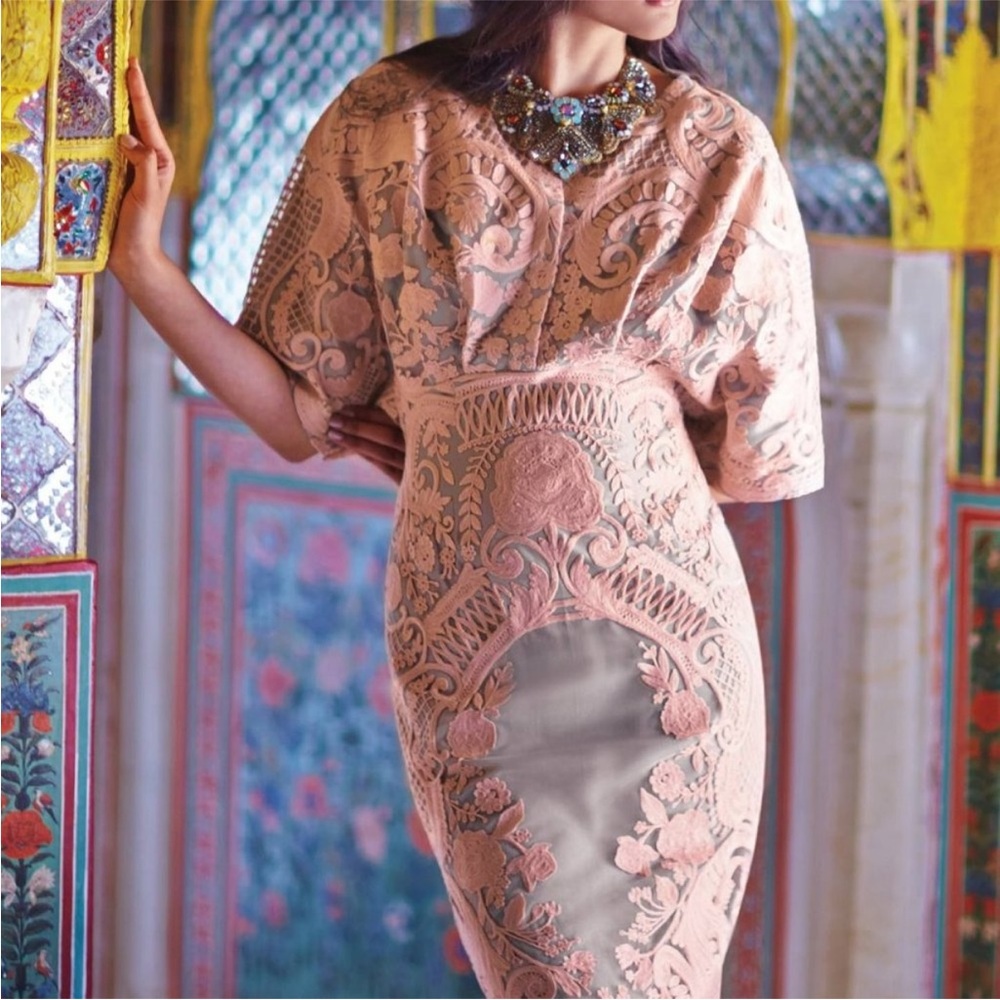 Pankaj & Nidhi Embroidered Silk Panna Dress RARE Size 4 Gray Pink Anthropologie